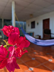 Fotos de Casa Liz Hostal