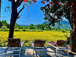 Photos of Retreat Bungalow Phong Nha