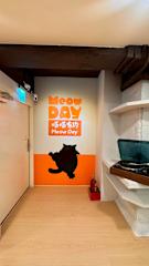 Photos of Meow Day Hostel