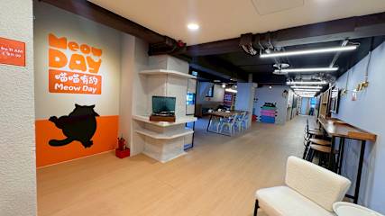 Photos of Meow Day Hostel