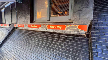 Photos of Meow Day Hostel