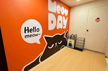 Photos of Meow Day Hostel