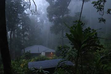 Photos of FREEDOM HOUSE, Munnar - A Backpackers Hostel