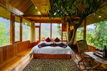 Photos of Himalayan Abode Tree House