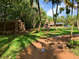 Foto di