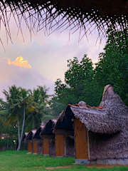 Foto di