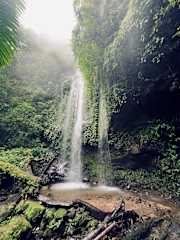 Fotos von