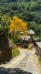 Photos of Donde Mildred