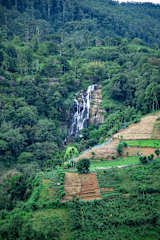 Fotky
