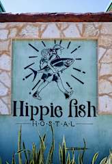 Hippie Fish의 사진