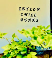 Photos of Ceylon Chill Bunks