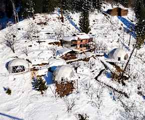 Photos of Hamta Orchard and Resort