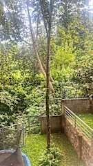 Photos of La Villa de los Alas - Estancias