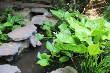 Photos of Emerald Retreat Tam Coc