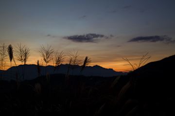Фотографии