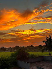 Photos of Surf and Stay Arugambay