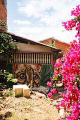 Photos of La Casa Rosada Hostel