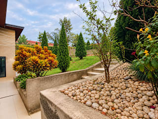 Bilder av
