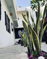 Photos of The Soul Hostal