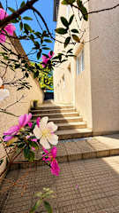 Photos of Mimos Hospedagem