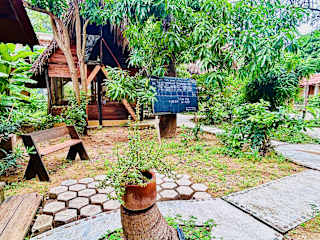 Fotos de