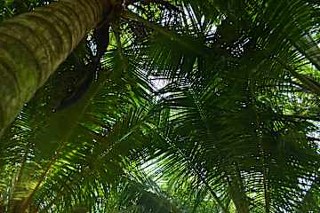 Tortugabay EcoHotel의 사진