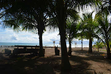 Tortugabay EcoHotel의 사진