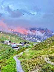 Bilder av