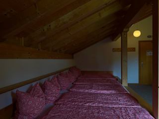 Bilder av