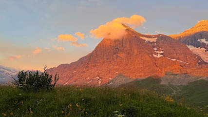 Bilder av
