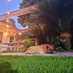 Photos of Bergamota hostel