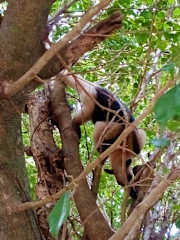 Fotos de