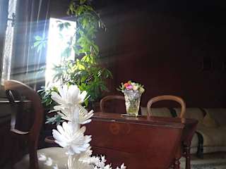 Foton av 