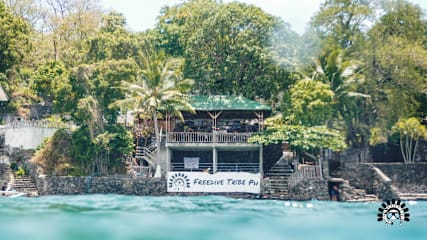 Photos of Freedive Tribe PH