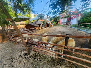 Global Village Farmstayの写真