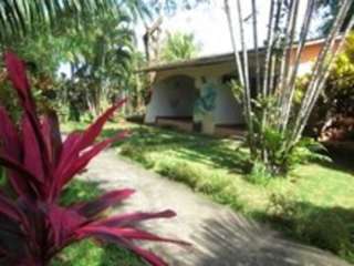 Photos of Hotel Tropical Garden