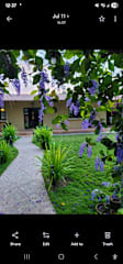 Photos of The Mango Tree Hostel