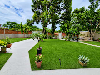 Photos of The Mango Tree Hostel