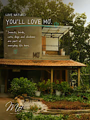 Mo House Phu Quoc – Local Homestayの写真