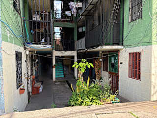 Photos of Backpacker's Roof