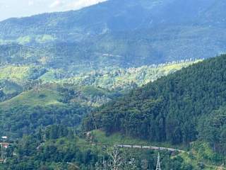Photos of Senu Ceylon Ella