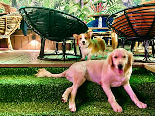 Photos of Rom Casa Hostel