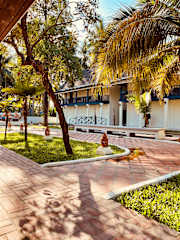 Photos of The Jam Hostel Luang Prabang