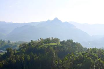 Zdjęcia nagrodzone