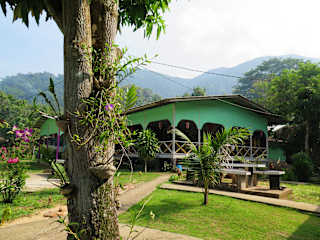 照片