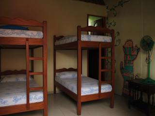 Oly Surf & Backpacker Hostel의 사진