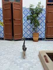 Photos of Hostel Nour Medina
