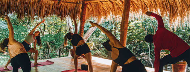Photos of The SPACE. Jungle oasis