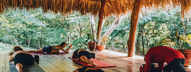 Photos of The SPACE. Jungle oasis