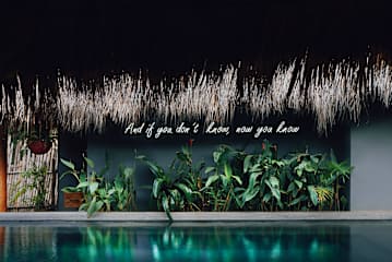 Photos of The SPACE. Jungle oasis